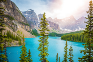 Turquoise Moraine Lake surrounded by pine trees and Rocky Mountains in Banff National Park Canada