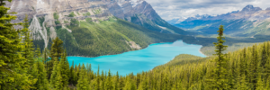 Panoramic view of Peyto Lake with turquoise water surrounded by forest and Rocky Mountains in Banff National Park Canada