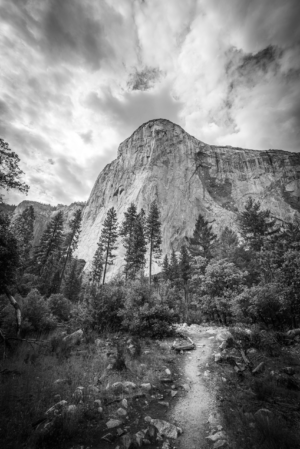 Black and white vertical photograph of El Capitan in Yosemite with pine trees, rocky trail, and dramatic clouds above