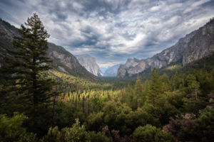 Wide landscape view of Yosemite Valley in California with granite cliffs, pine forest, and dramatic cloudy sky