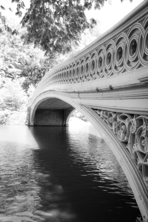 Black and white vertical view of Bow Bridge in Central Park reflecting over calm water in New York City