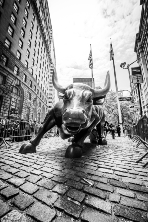 Black and white Charging Bull statue near Wall Street in New York City