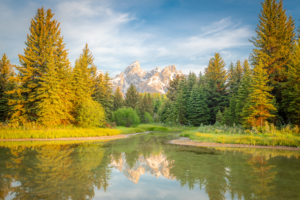 Grand Teton mountains reflected in calm water at Schwabacher Landing with pine trees in Wyoming