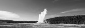 Black and white panoramic photograph of Old Faithful erupting in Yellowstone National Park Wyoming