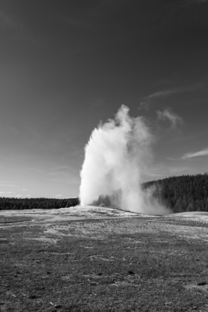 Black and white photograph of Old Faithful erupting in Yellowstone National Park