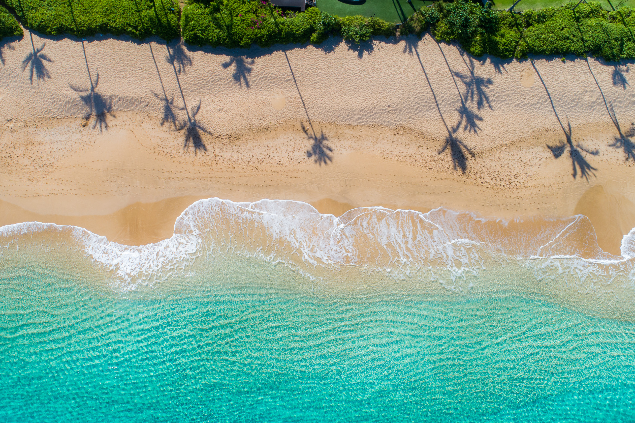 Aerial view of Maui Hawaii beach with palm tree shadows, golden sand, and turquoise ocean waves