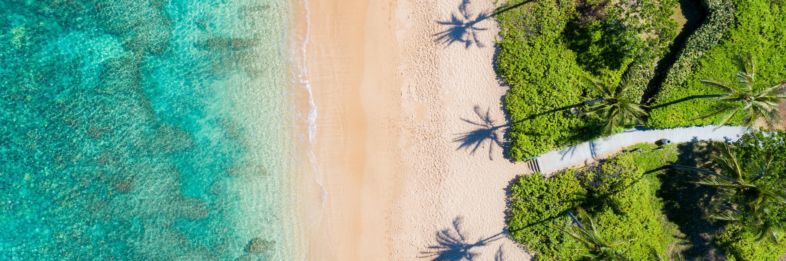 Aerial panorama of Maui Hawaii beach with turquoise ocean, white sand, palm trees and tropical shoreline path