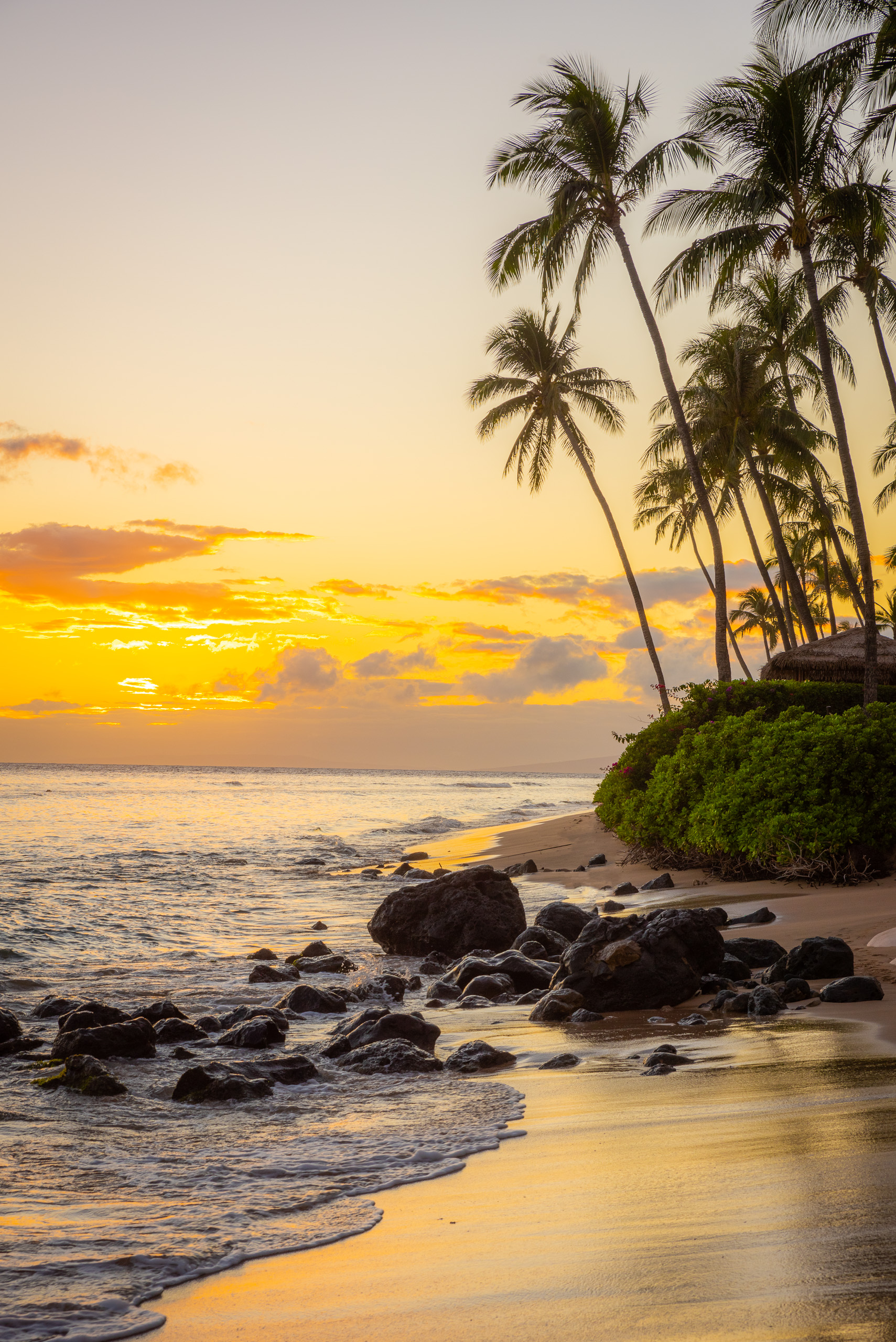 Maui Hawaii beach at sunset with palm trees, golden sky, rocks, and ocean shoreline vertical