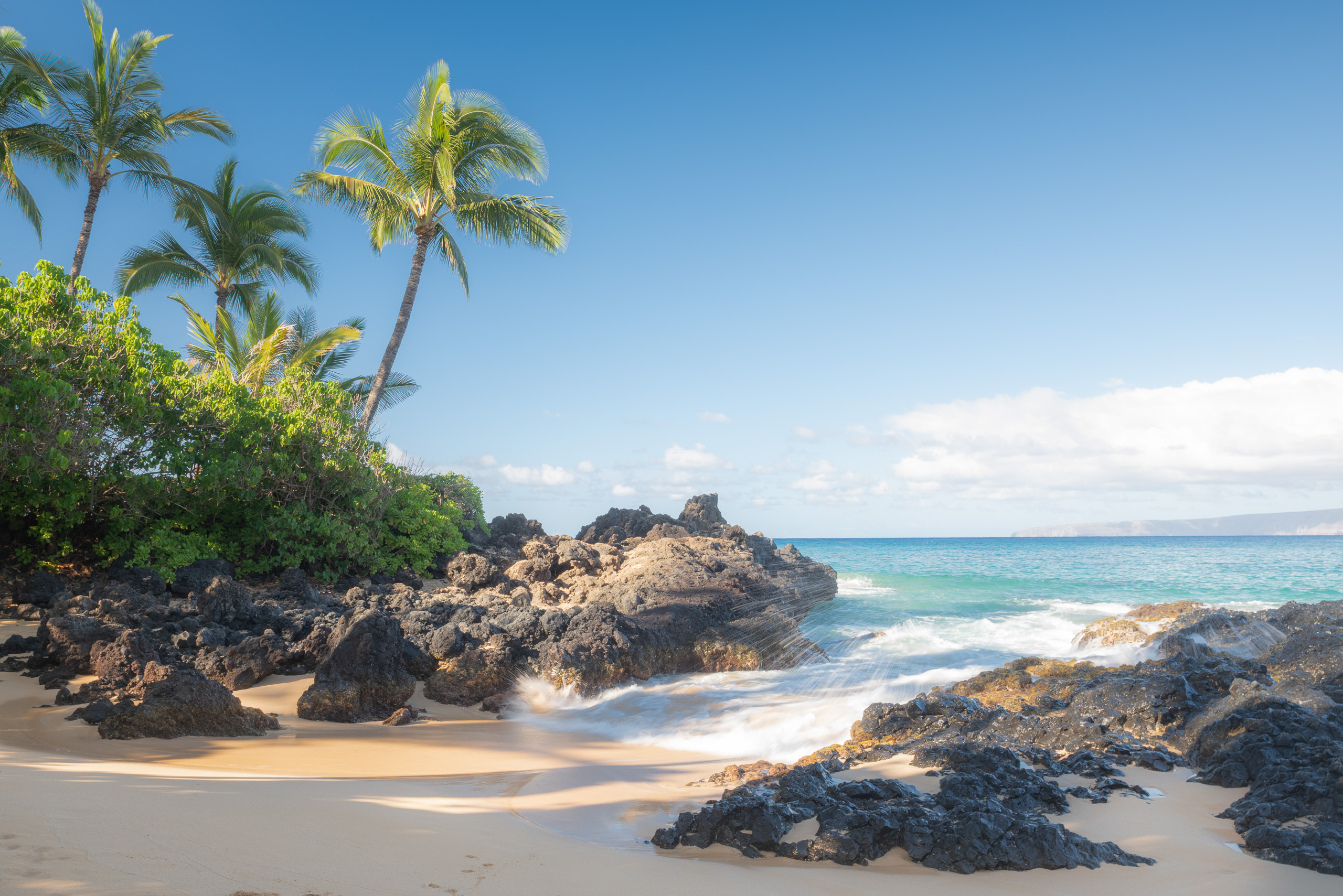 Hidden beach in Maui Hawaii with palm trees, black lava rocks, turquoise water and soft sand shoreline