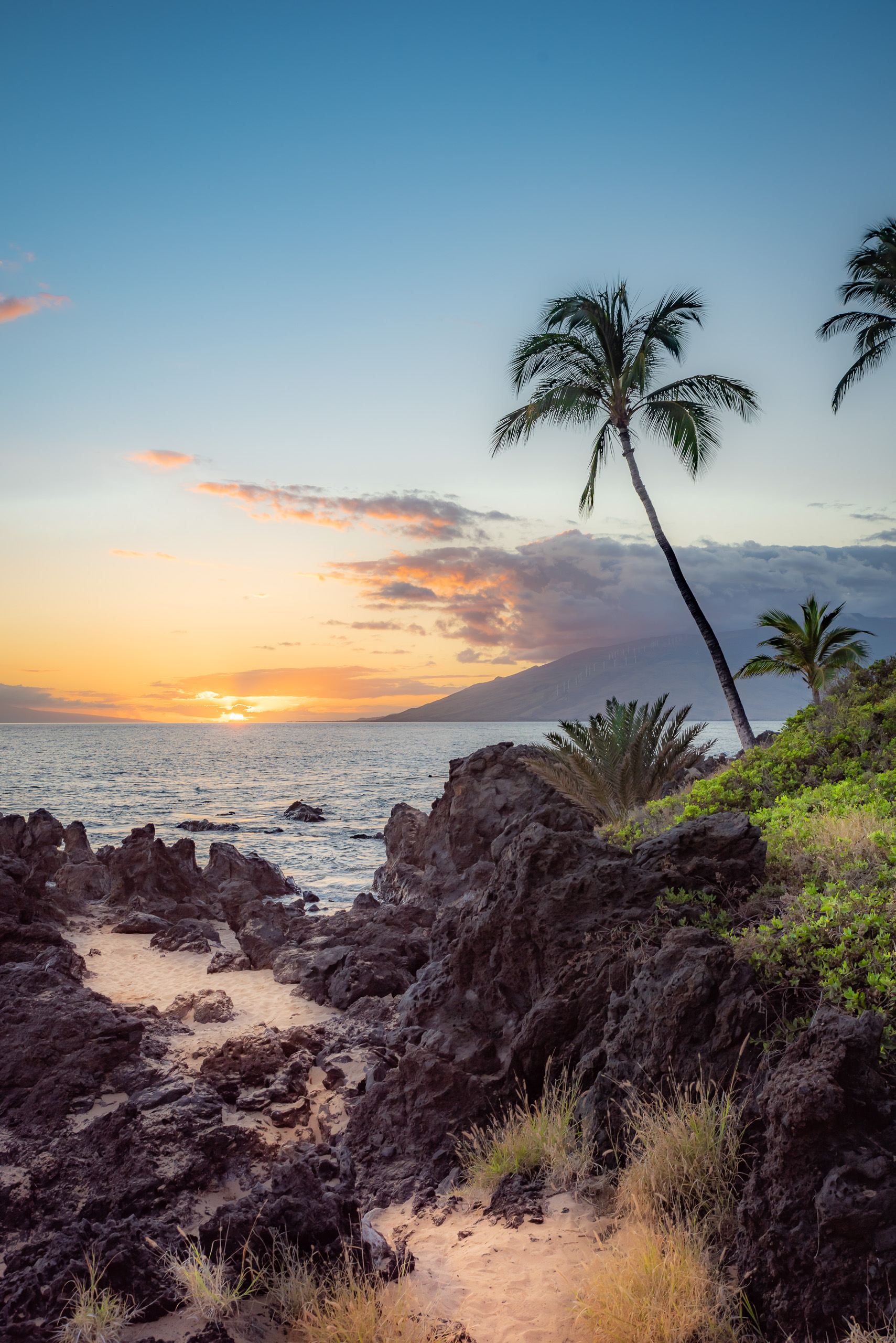 Maui Hawaii rocky beach at sunset with palm trees, ocean waves and glowing sky in vertical composition