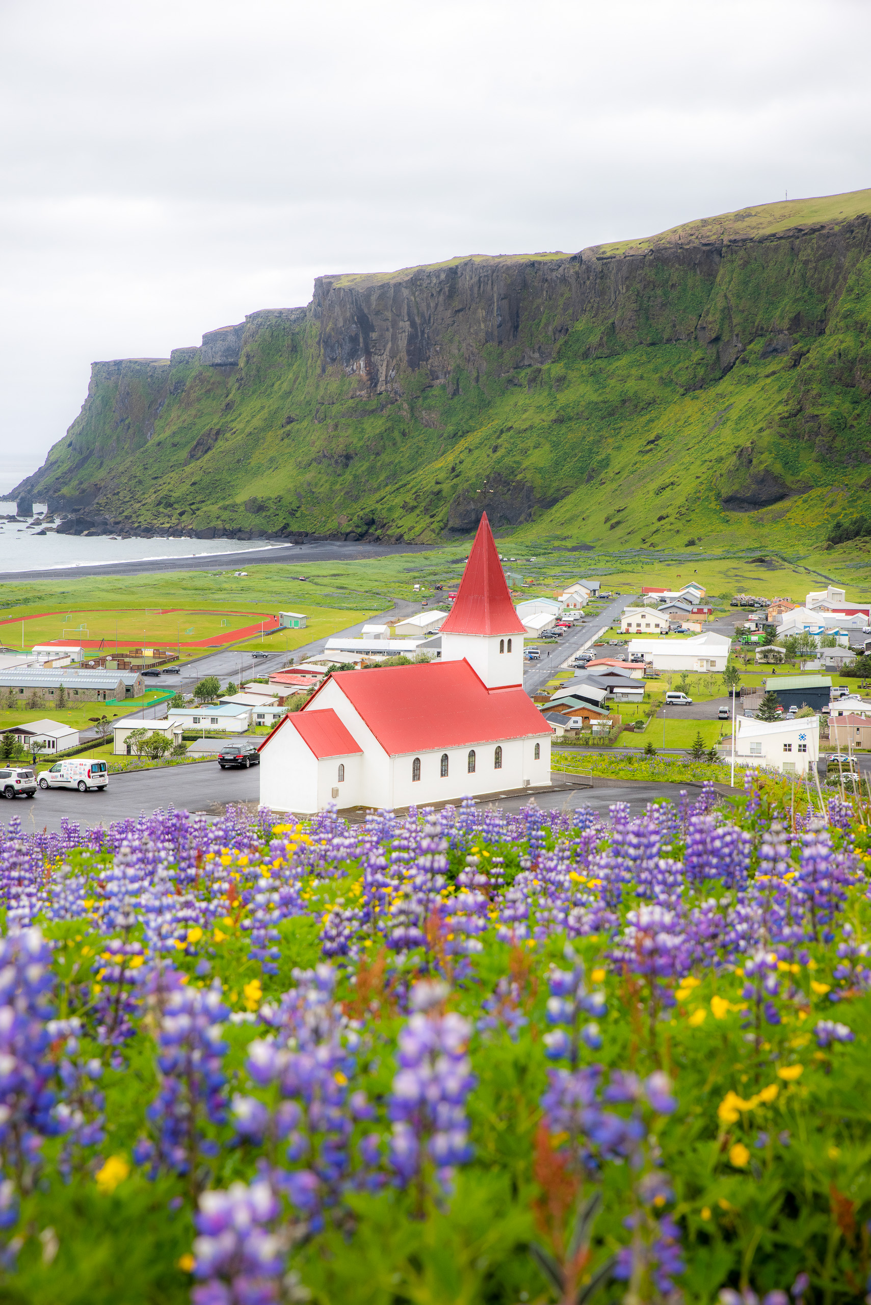 Red roof church in Vik Iceland above village with purple wildflowers and green cliffs