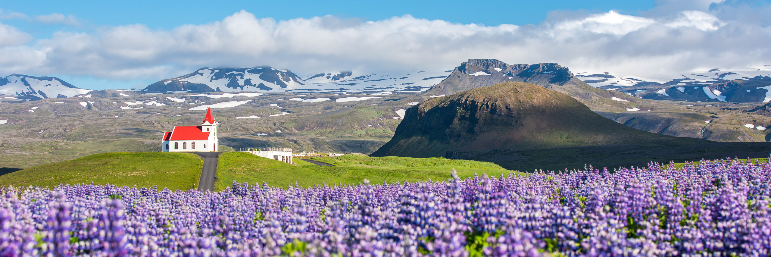 Panoramic photograph of a red church in Iceland surrounded by purple lupine flowers and mountain landscape