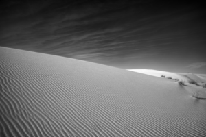 Black-and-white photograph of rippled gypsum dunes at White Sands National Park, where sweeping lines and subtle desert vegetation create a minimalist desert landscape.