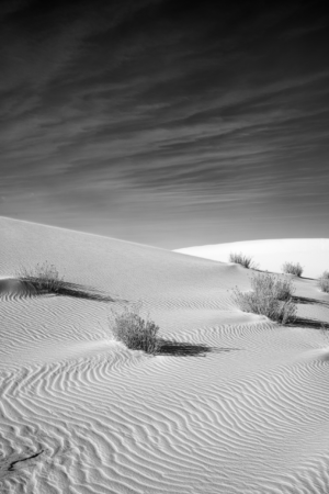 Black-and-white photograph of rippled gypsum dunes and desert shrubs at White Sands National Park, where sweeping textures and long shadows create a striking desert composition.