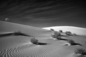 Black-and-white photograph of rippled gypsum dunes and desert shrubs at White Sands National Park, where dramatic light and shadow emphasize the textures of the landscape.