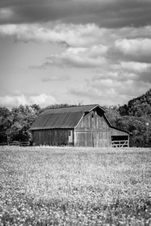 Black and white photograph of a rustic barn in a field beneath dramatic clouds in Franklin, Tennessee