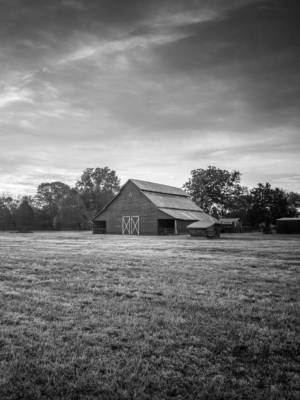 Black and white photograph of a historic barn in a field in Franklin, Tennessee